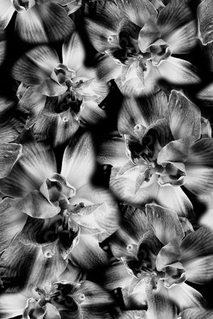 乱花印花华亿平台图片