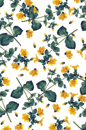 乱花印花华亿平台图片