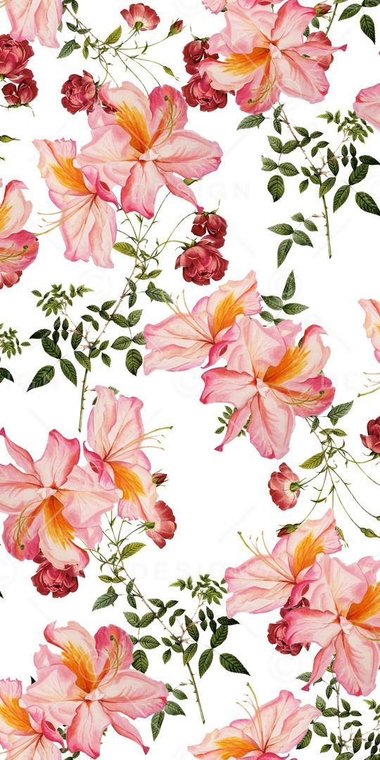 玫瑰印花华亿平台图片