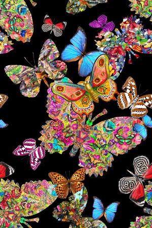 蝴蝶印花华亿平台图片