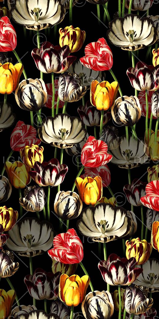 油画印花华亿平台图片