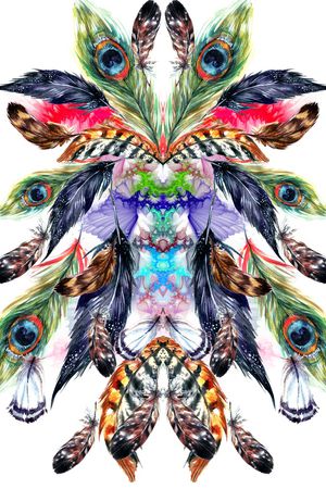 鸟毛印花华亿平台图片