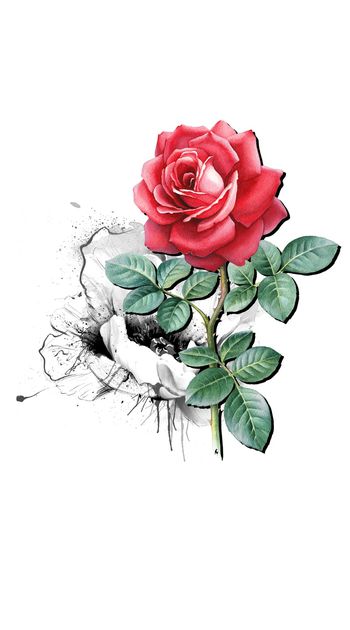 822079-NEW-SS-04-034-W