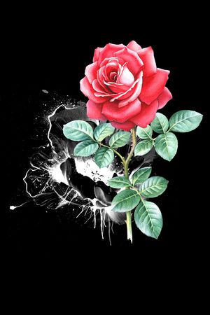 花朵印花华亿平台图片