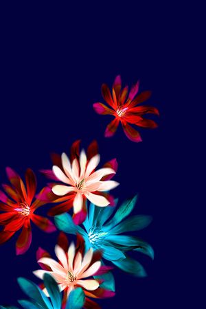 花朵印花华亿平台图片