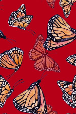 蝴蝶印花华亿平台图片