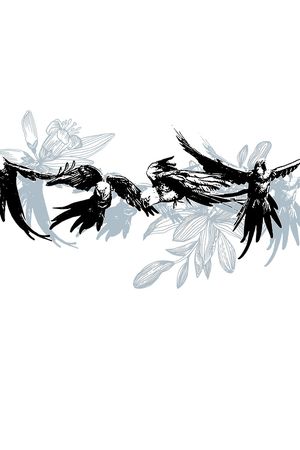 飞鸟印花华亿平台图片