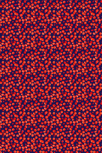 花瓣印花华亿平台图片