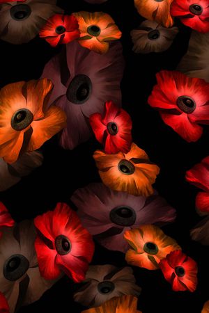 油画印花华亿平台图片