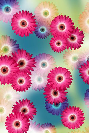 花朵印花华亿平台图片