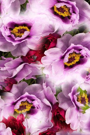 花朵印花华亿平台图片