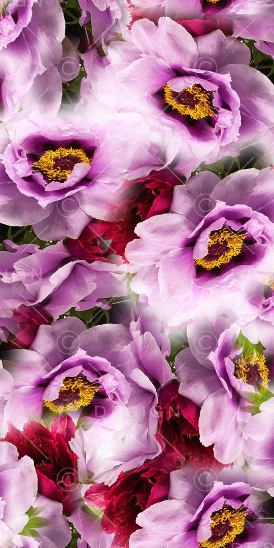 花朵印花华亿平台图片