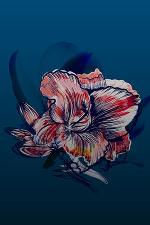 渐变印花华亿平台图片