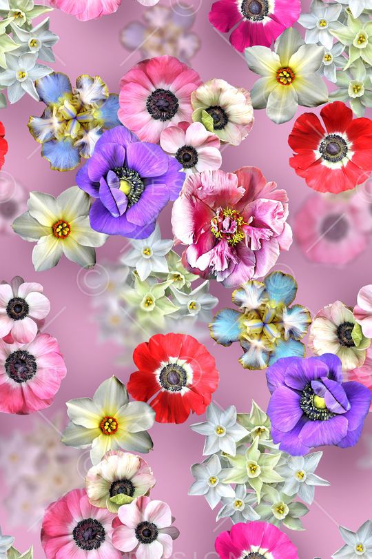 花卉印花华亿平台图片