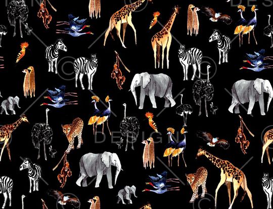 斑马印花华亿平台图片