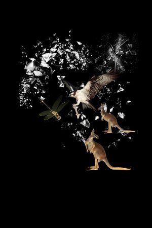 欧式印花华亿平台图片