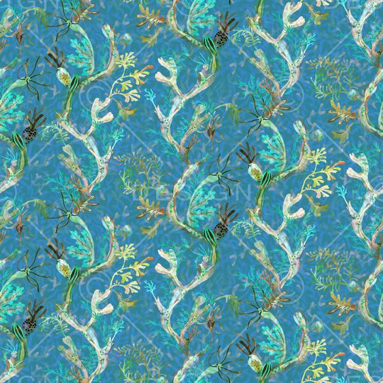 女装印花华亿平台图片