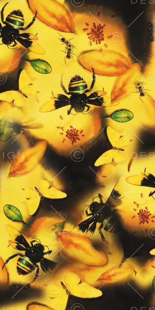 昆虫印花华亿平台图片