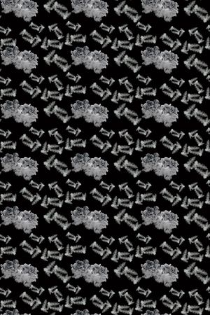 羽毛印花华亿平台图片