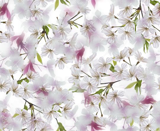 樱花印花华亿平台图片