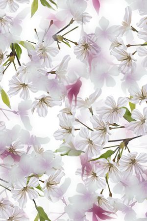 樱花印花华亿平台图片