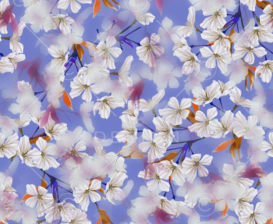 樱花印花华亿平台图片