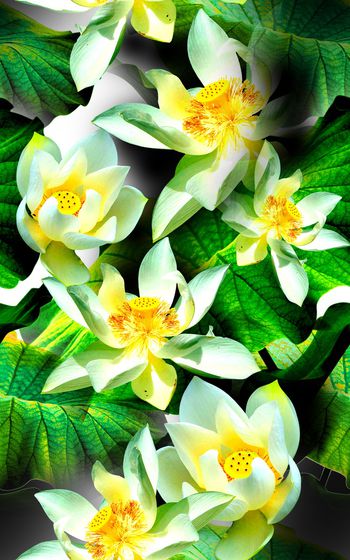 823868-NEW-SS-04-080-W