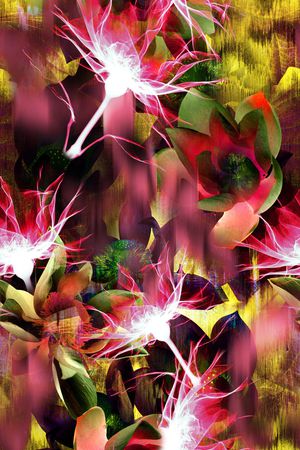 透明花卉印花华亿平台图片