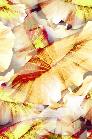 荷叶印花华亿平台图片