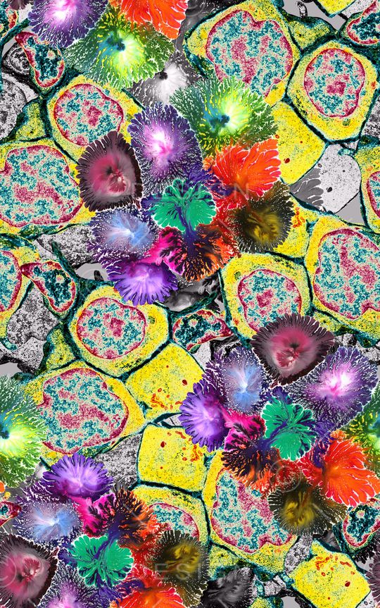 抽象印花华亿平台图片