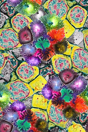 抽象印花华亿平台图片