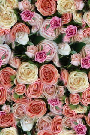 玫瑰花印花华亿平台图片