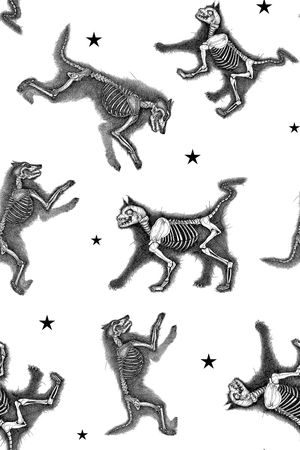 动物印花华亿平台图片