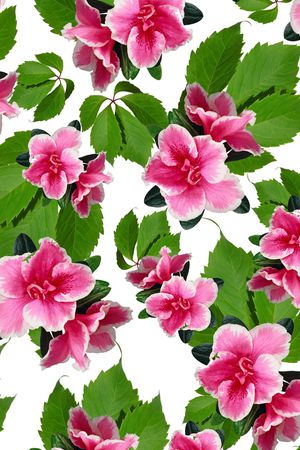 叶子印花华亿平台图片