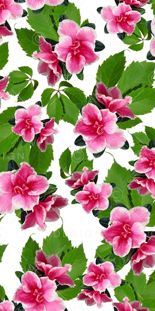 叶子印花华亿平台图片