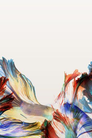 水彩印花华亿平台图片