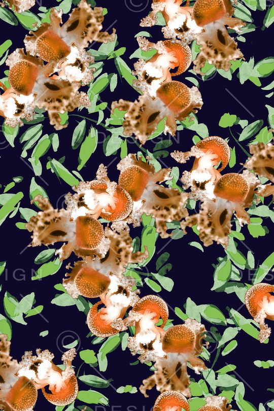 海洋生物印花华亿平台图片