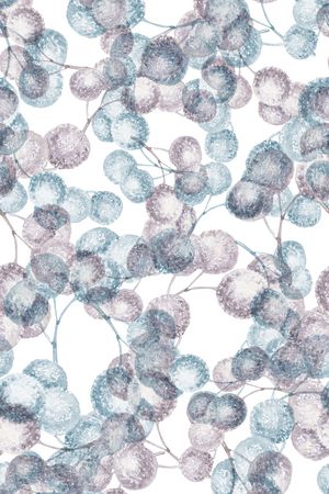 蒲公英印花华亿平台图片