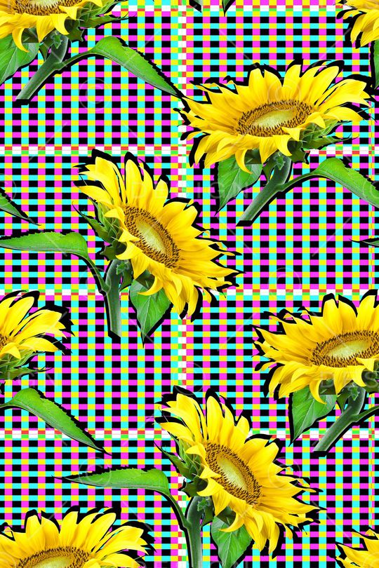 向日葵印花华亿平台图片