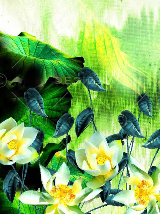 荷花印花华亿平台图片