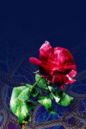 晕染印花华亿平台图片