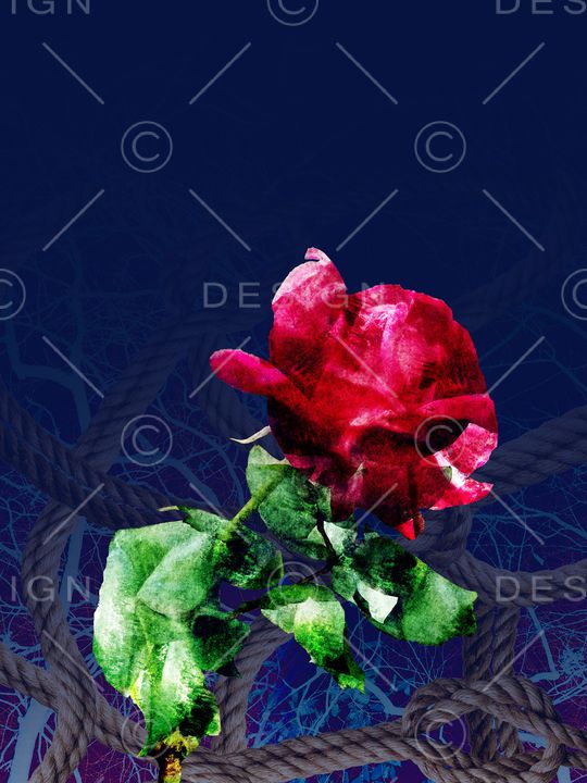 晕染印花华亿平台图片