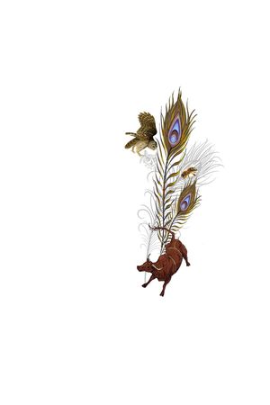 动物印花华亿平台图片