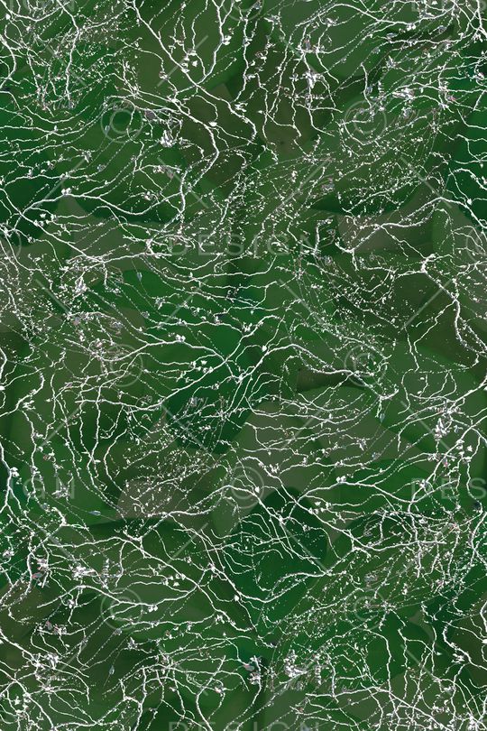 花朵印花华亿平台图片