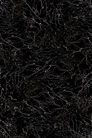 花朵印花华亿平台图片