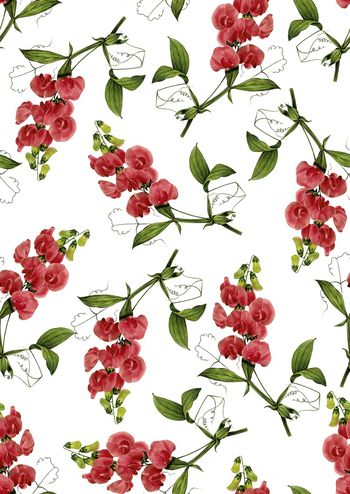 825862-复古手绘蝴蝶兰，兰花，树枝兰花