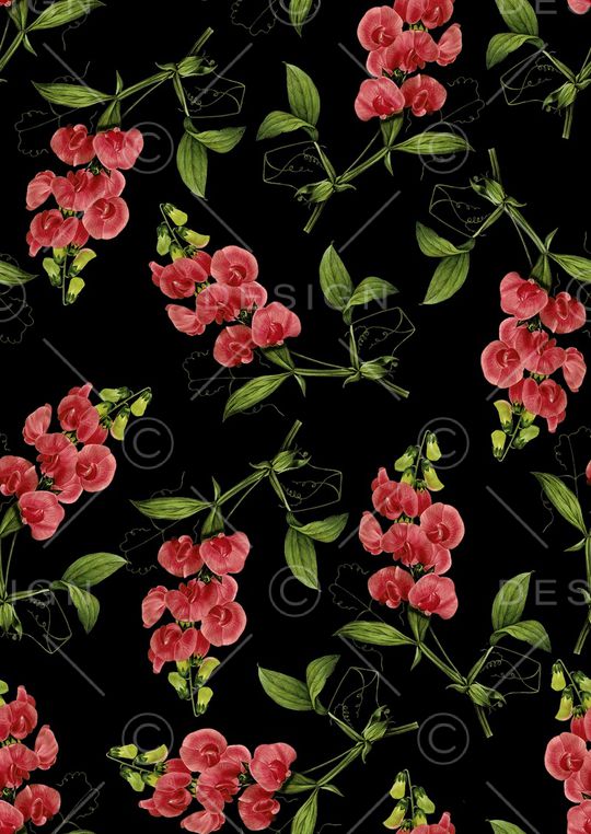 复古手绘蝴蝶兰印花华亿平台图片