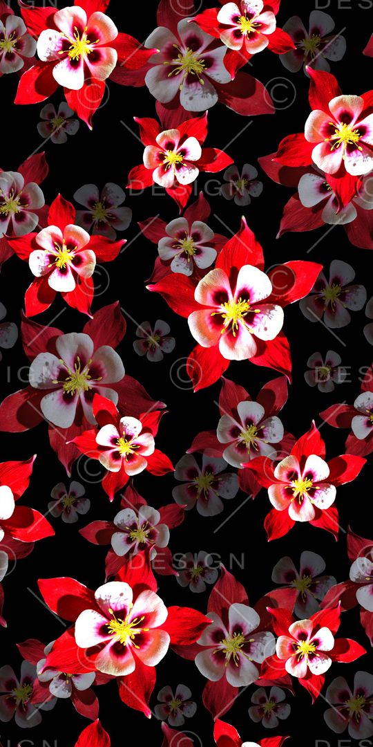 鲜花印花华亿平台图片