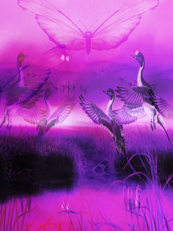 飞鸟印花华亿平台图片