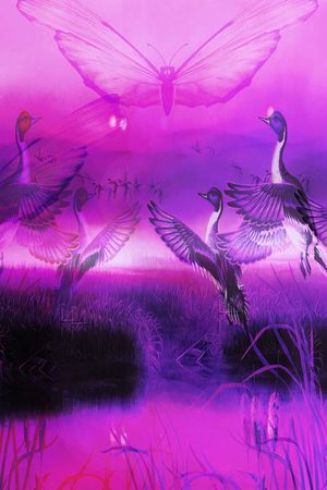 飞鸟印花华亿平台图片